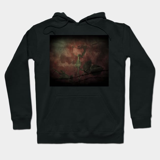 Red rouse darkness Hoodie by rolffimages